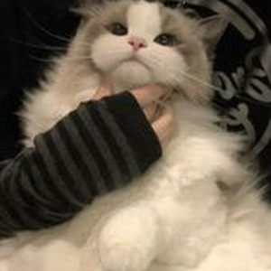 Stripper Pole (slowed)