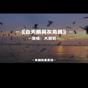 白天鵝與灰烏鴉/搖滾版