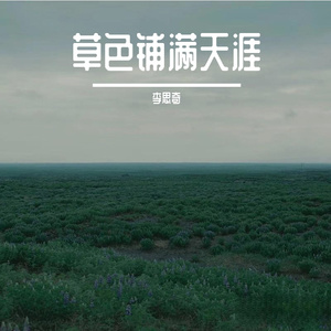 星落入梦的深处