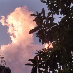 事关于你（翻自 韩蒴）