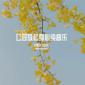 公园锻炼愉悦纯音乐