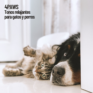 Afinación celestial