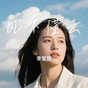 风不懂云