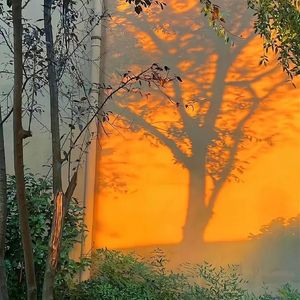 榆阴下(Prod By ATTBEAT/ATTStudio星）