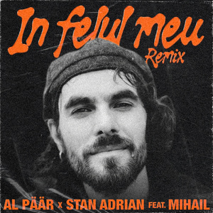 In felul meu (Remix)