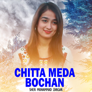Chitta Meda Bochan