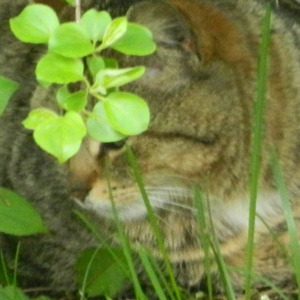 He's Like a High That Never Says Goodbye