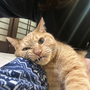 狂気