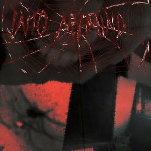 Wish I Could Tell You