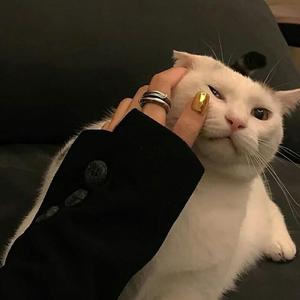 Summertime Sadness (Bootleg)