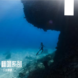 告白之夜
