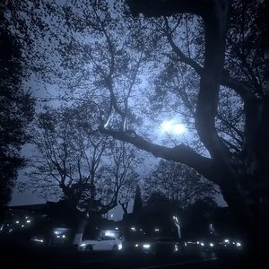 《未命名的告别》