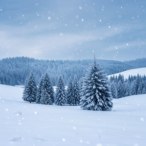 Winter Wonderland (Cover)