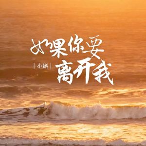 如果你要离开我-男童完整版