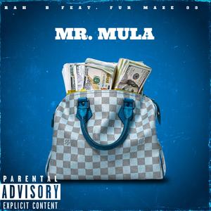 MR. MULA
