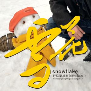 雪花在空中一片一片地落下