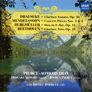 Trio in E-Flat for Piano, Clarinet and Cello, Op. 11 "Gassenhauer": II. Adagio
