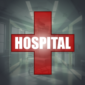 Hospital (Electronic Version)