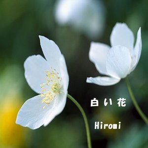 白い花