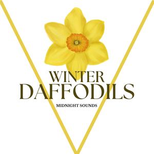Daffodils