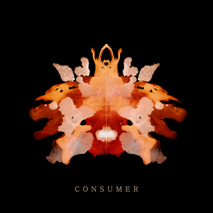 Consumer