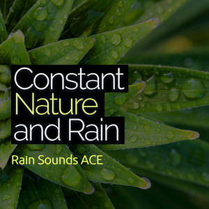 Constant Dual Rain