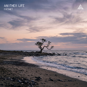 Another Life