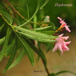 Doplomatic