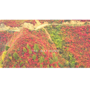 The Way Home 伴奏