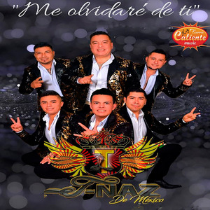 Tlacuache