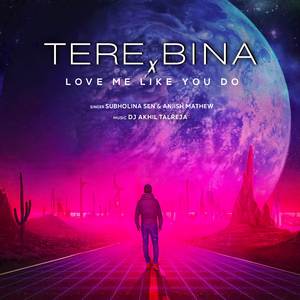 Tere Bina x Love Me Like You Do