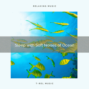 Sleep with Gentle Music of Waves