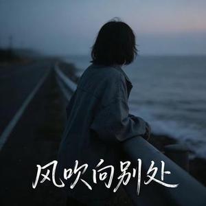 风吹向别处 (许衍 Xyan Remix)