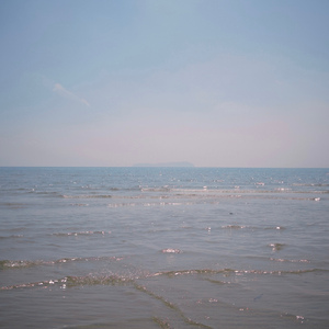 エリンジューム