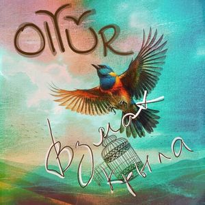 Взмах крыла