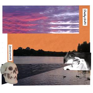 The Illusion of Fleeling