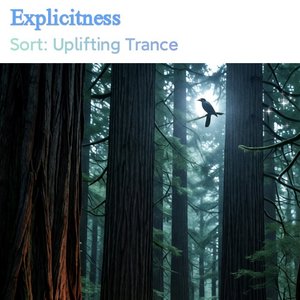 Explicitness