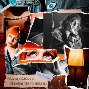 Dezbracata de greseli (Gossip Crew Remix)