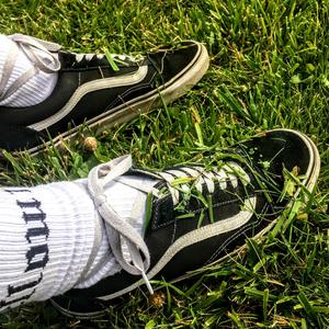 Deer (Recorded at the Boise Hive)