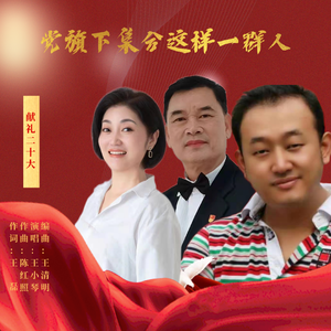 党旗下集合这样一群人