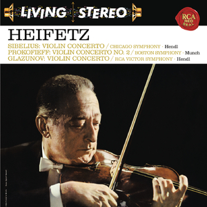 Violin Concerto in D Minor, Op. 47:I. Allegro moderato
