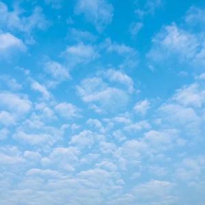 孤芳自赏(DJ咚鼓版)