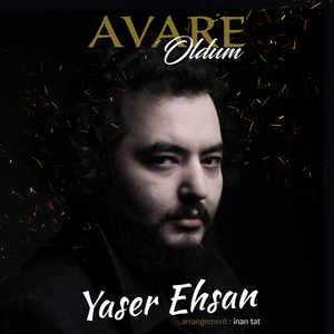 Avare Oldum