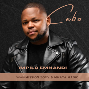 Impilo Emnandi (feat. Mission Bouy & Mmata Magic)