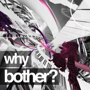 why bother?