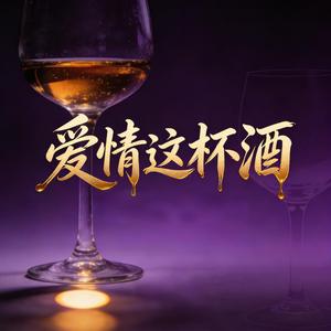 爱情这杯酒DJ