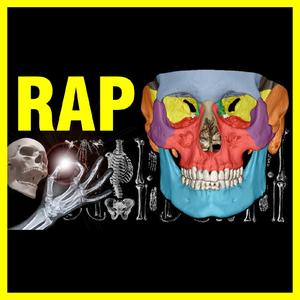 Rap de Los 206 Huesos del Cuerpo Humano | Aprende Rapeando
