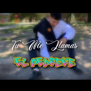 Tu Me Llamas
