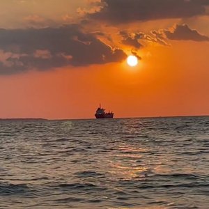 Gul beta-Minus      YAMAHA SX700