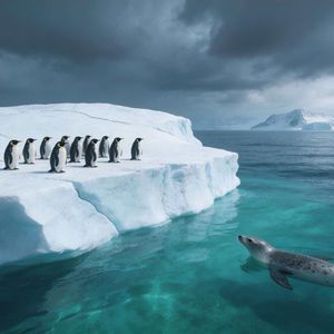 歌-《晨光与诗》